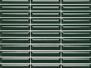 Hashi Ficus 4 x 12 Glossy 